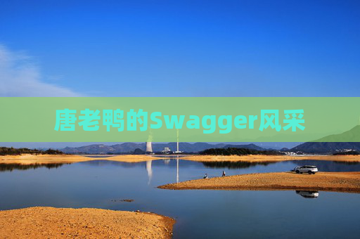 唐老鸭的Swagger风采